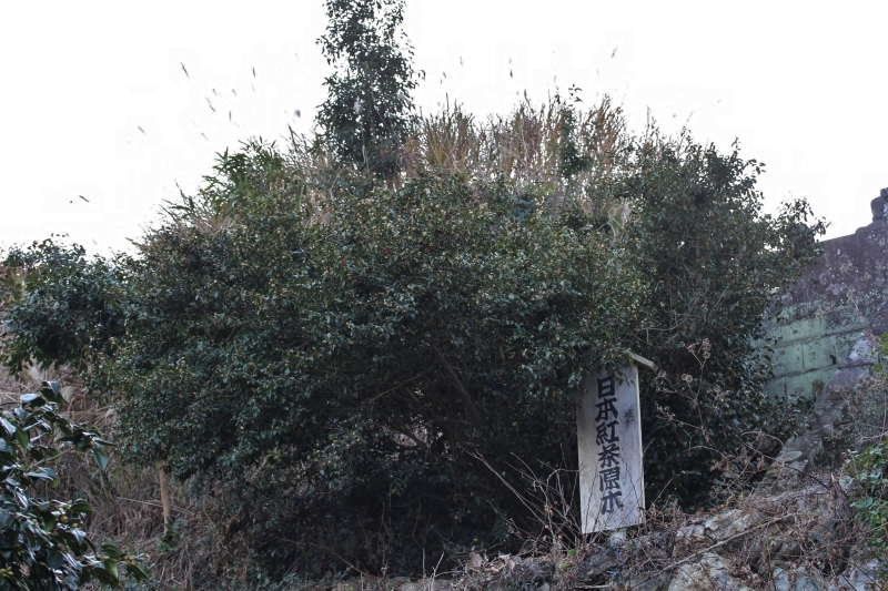 ひとりごと_b0220318_08231484.jpg