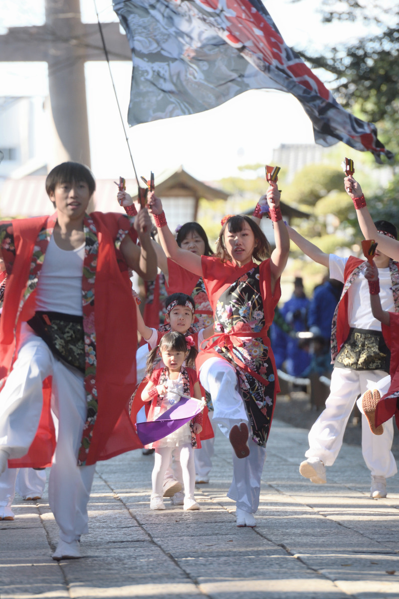 秋山舞 第2回 鹿島神宮奉納よさこい 「秋山舞の会」さん 茨城県阿見町 : 暢気（のんき）おやじ