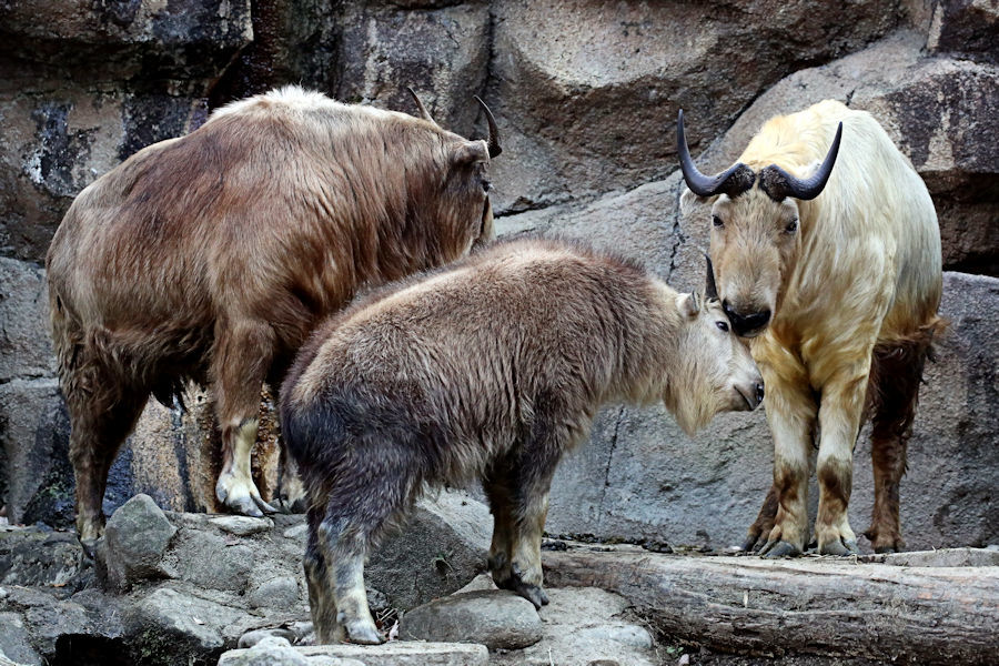 f0224624_09092811.jpg