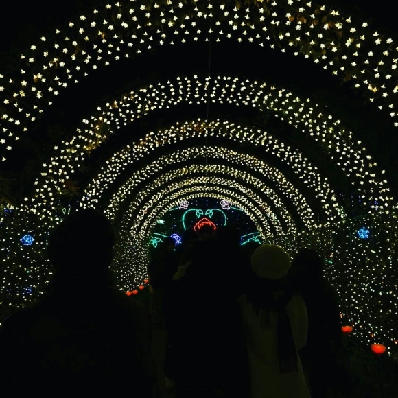 c0226331_16514358.jpg