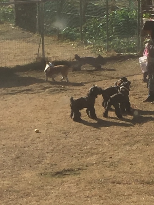 b0369239_10212831.jpeg