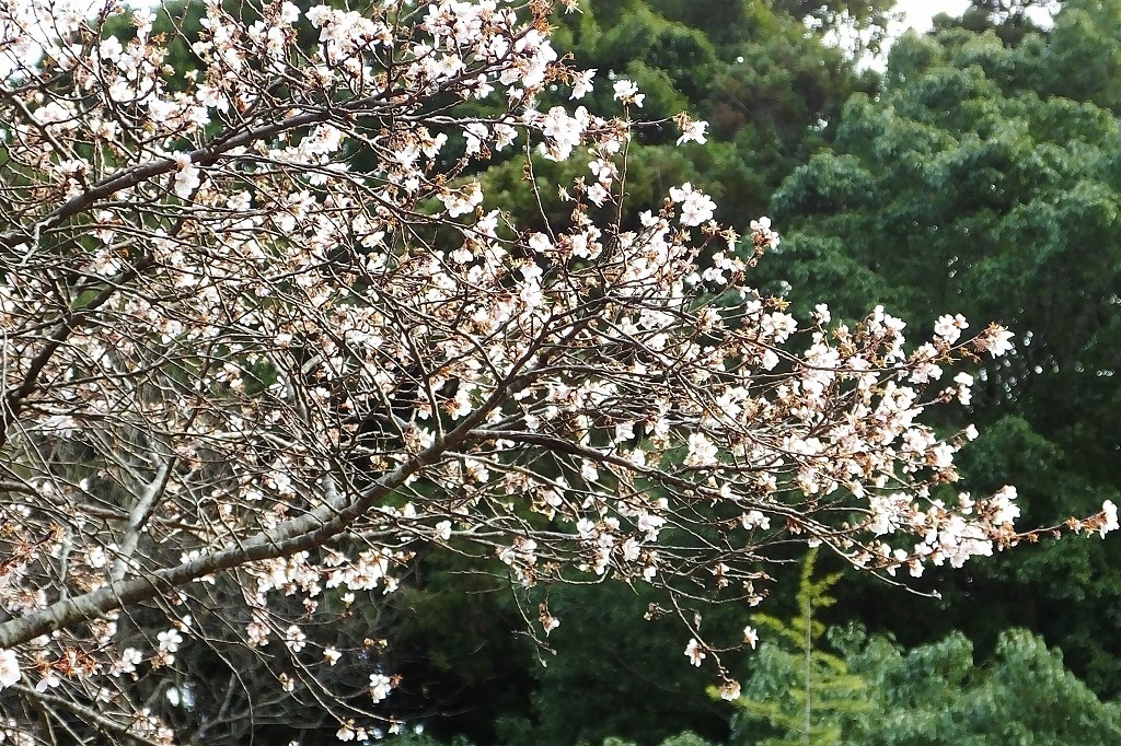b0236251_10490753.jpg