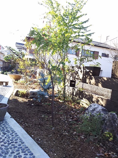 c0172261_10385366.jpg