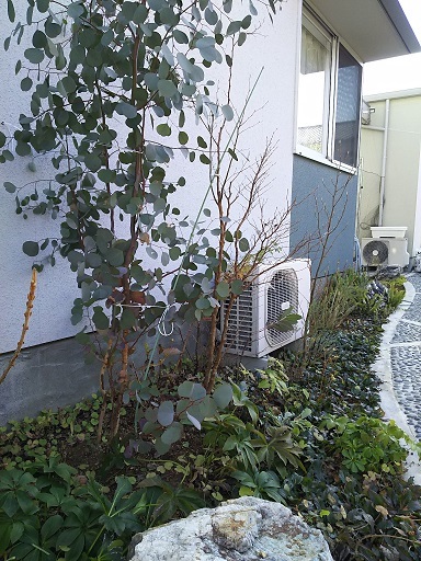 c0172261_10390645.jpg
