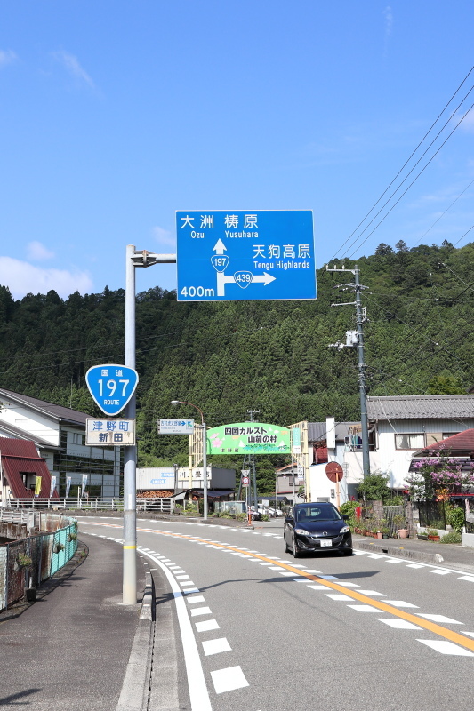 再び、四国カルストへ その1_a0077663_06561824.jpg