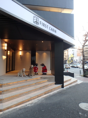 f0052277_13410874.jpg