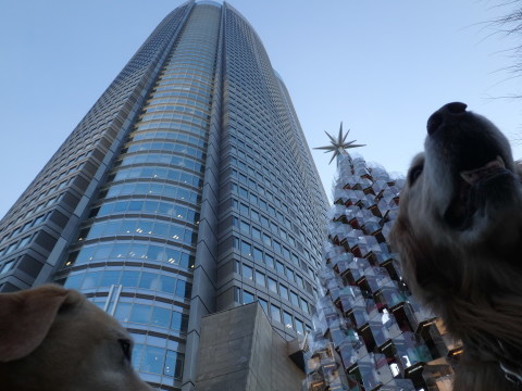 f0052277_13512208.jpg