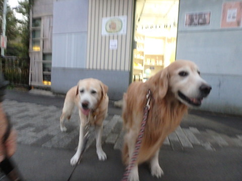 f0052277_14243872.jpg