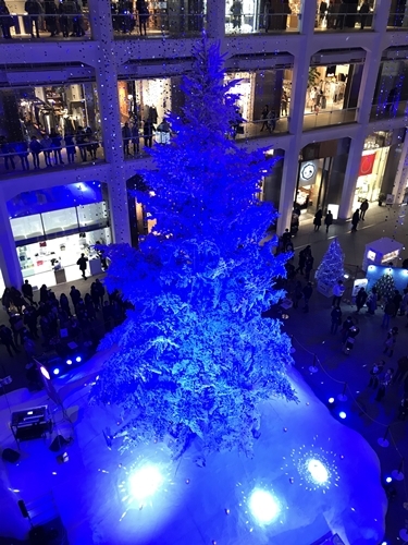 f0299682_17543829.jpg