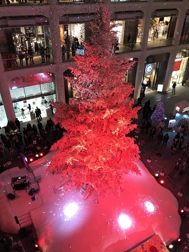 f0299682_17545340.jpg