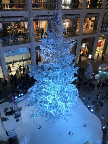 f0299682_17550131.jpg