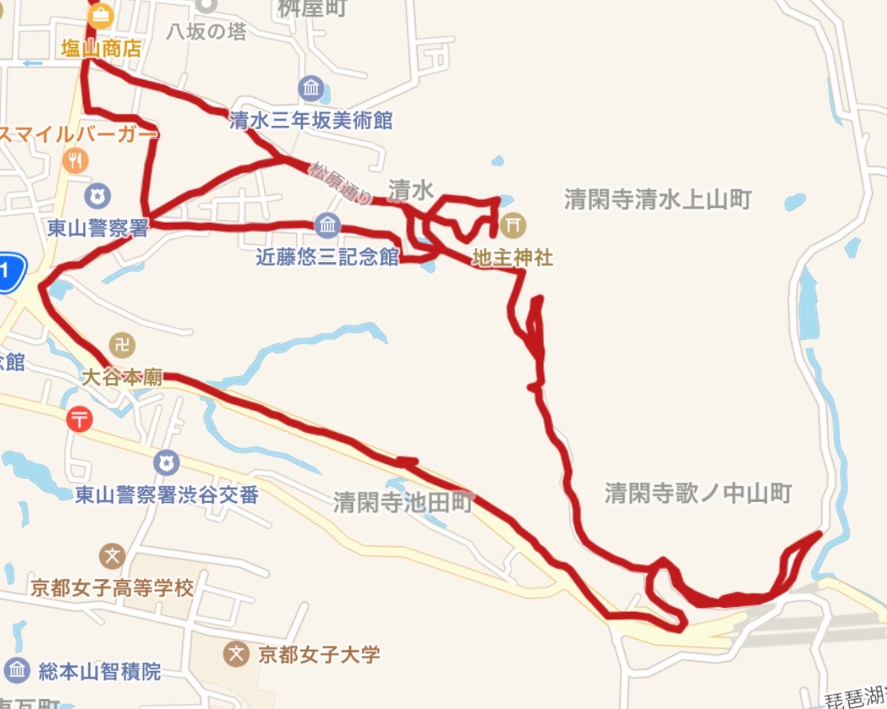 出張朝ラン@京都と明日は足立フレンドリーマラソン_f0310282_09542226.jpeg