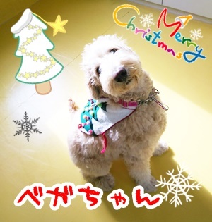 クリスマス先取り☆彡 第3弾_f0357682_11340611.jpg
