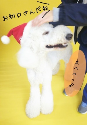 クリスマス先取り☆彡 第3弾_f0357682_11341538.jpg