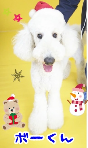 クリスマス先取り☆彡 第3弾_f0357682_11341984.jpg