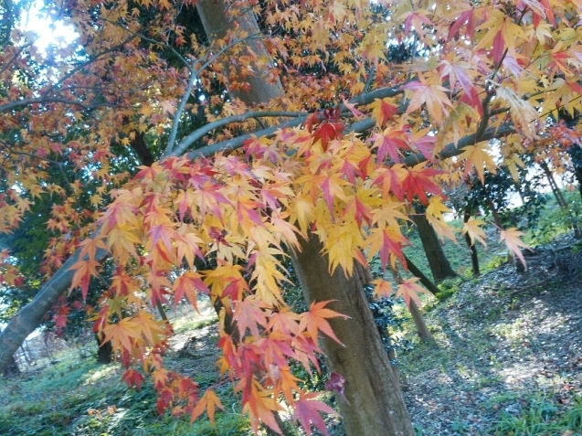 e0371086_19444515.jpg