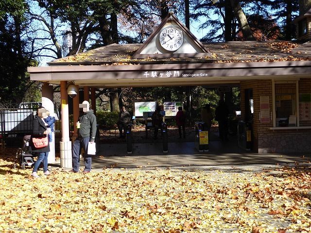 落ち葉と紅葉と♪新宿御苑はいつ行ってもステキな公園です♪_b0287088_20411167.jpg