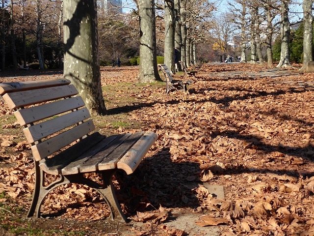 落ち葉と紅葉と 新宿御苑はいつ行ってもステキな公園です ルソイの半バックパッカー旅