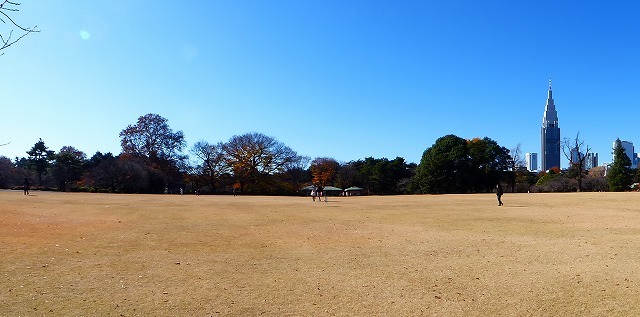 落ち葉と紅葉と♪新宿御苑はいつ行ってもステキな公園です♪_b0287088_20450541.jpg