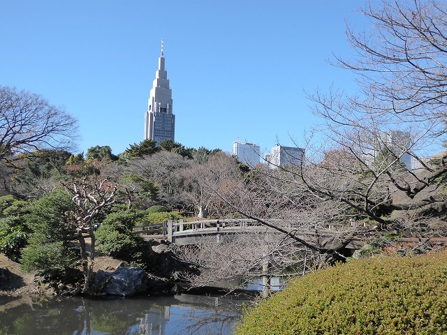 落ち葉と紅葉と♪新宿御苑はいつ行ってもステキな公園です♪_b0287088_20453063.jpg