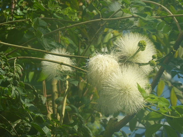 b0287088_20475238.jpg