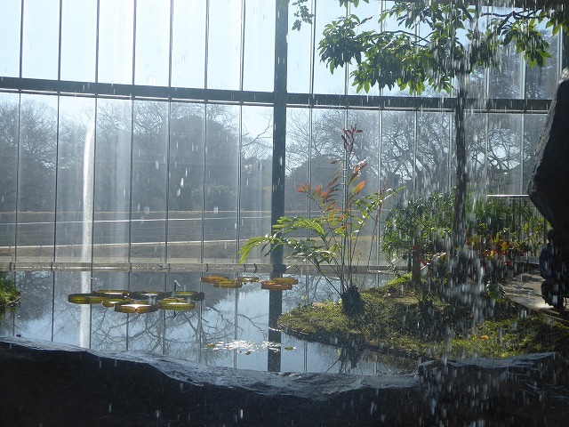 b0287088_20484639.jpg