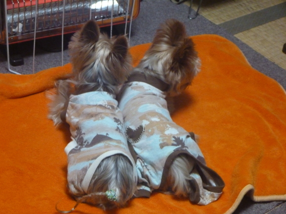c0191390_21091638.jpg