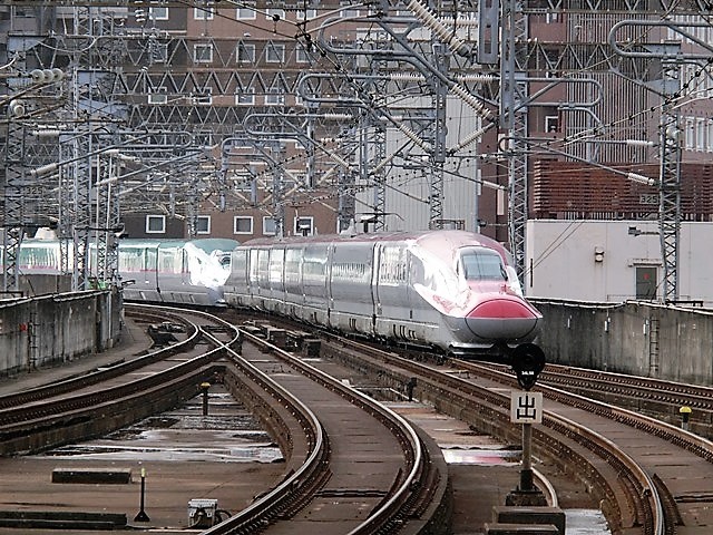 d0181492_17515621.jpg