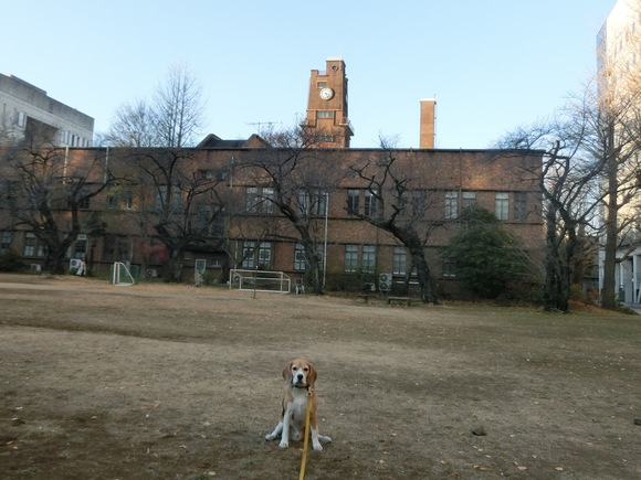 a0319693_5535657.jpg