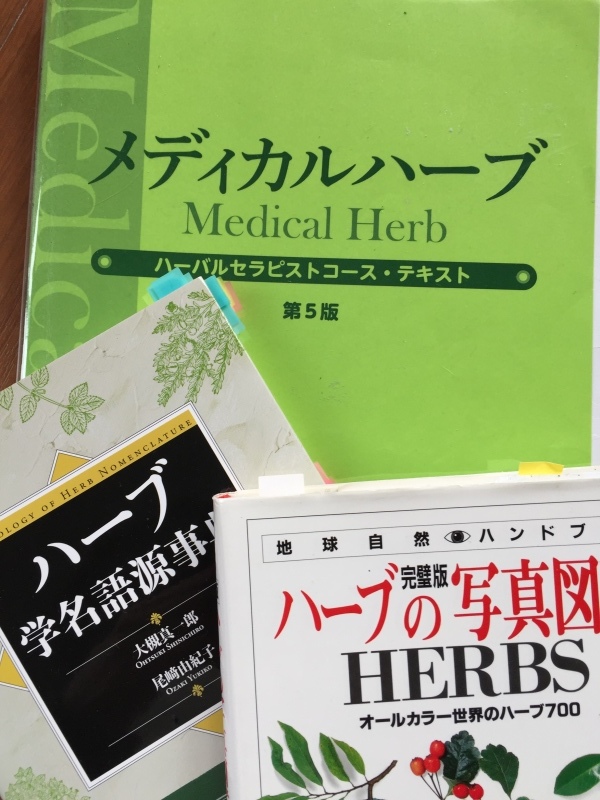 メディカルハーブ。_a0357894_19365546.jpeg
