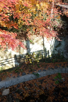 c0339296_07161595.jpg