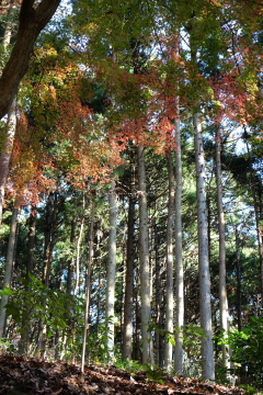 c0339296_07162263.jpg