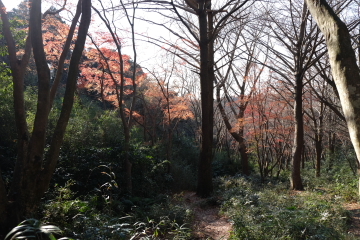 c0339296_07164504.jpg