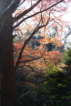c0339296_07172100.jpg