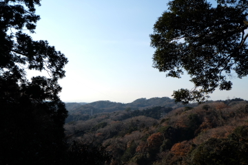 c0339296_07173758.jpg