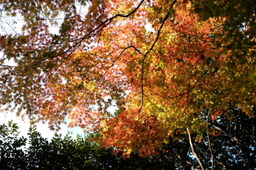c0339296_07174186.jpg