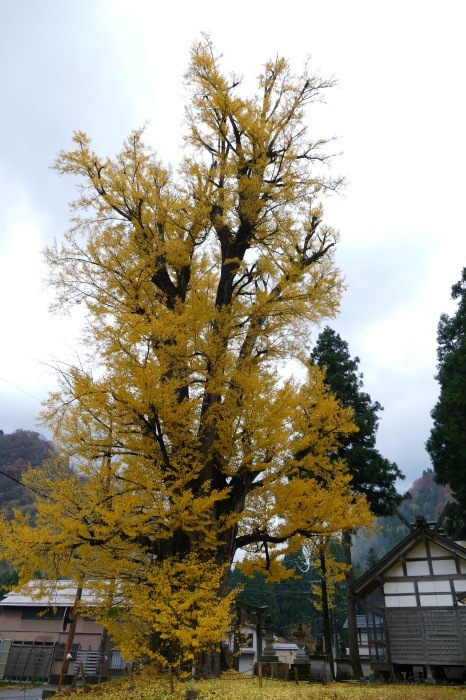 f0227396_11421692.jpg