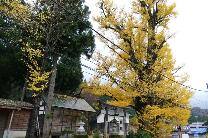 f0227396_11422449.jpg