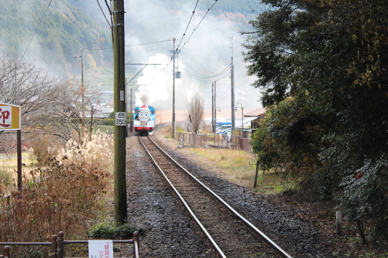 川根温泉笹間渡駅を通過するクリスマストーマス_d0367998_17445310.jpg