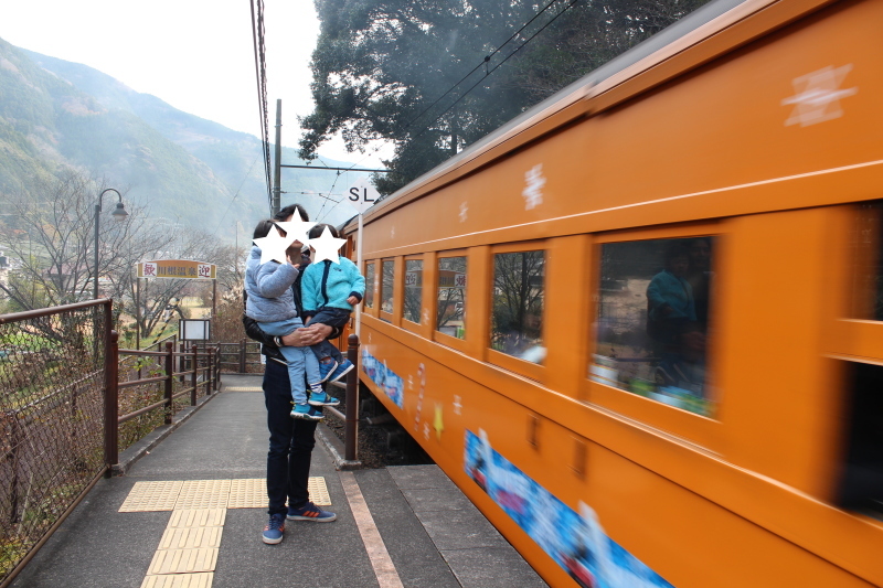 川根温泉笹間渡駅を通過するクリスマストーマス_d0367998_17483017.jpg