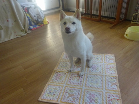 a0338800_20352934.jpg