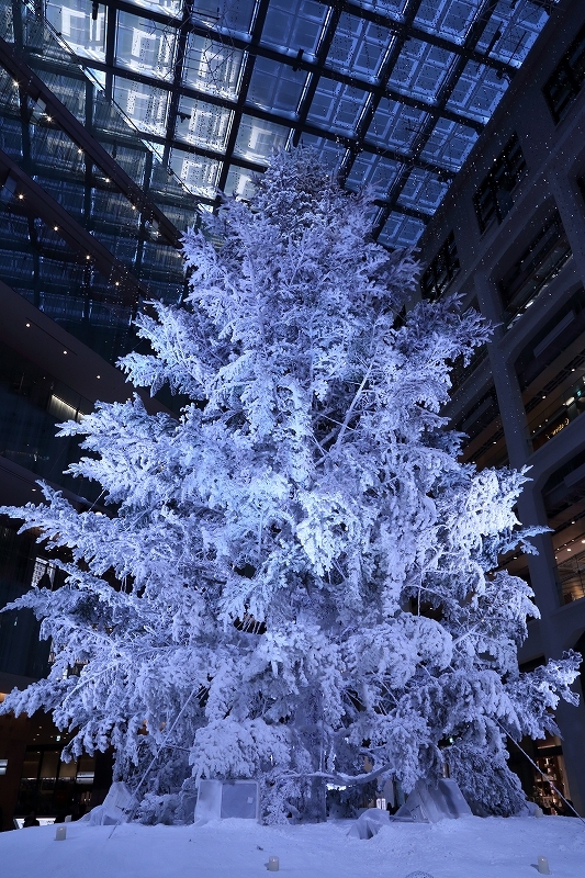b0291402_22385569.jpg