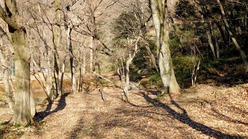 e0304702_07111940.jpg