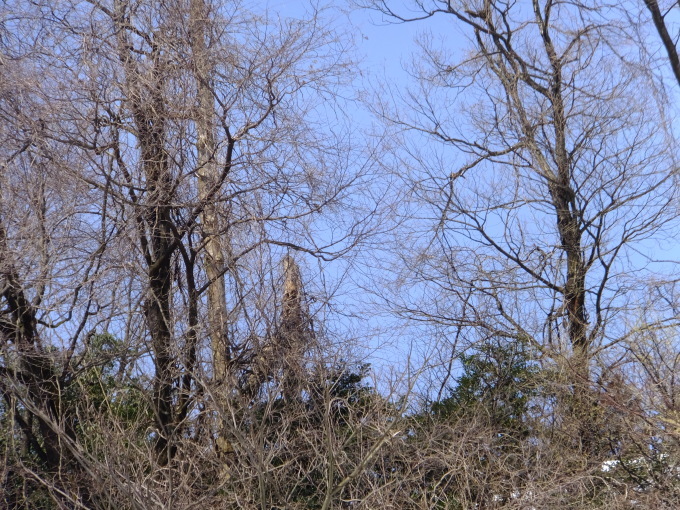 a0160407_13303722.jpg