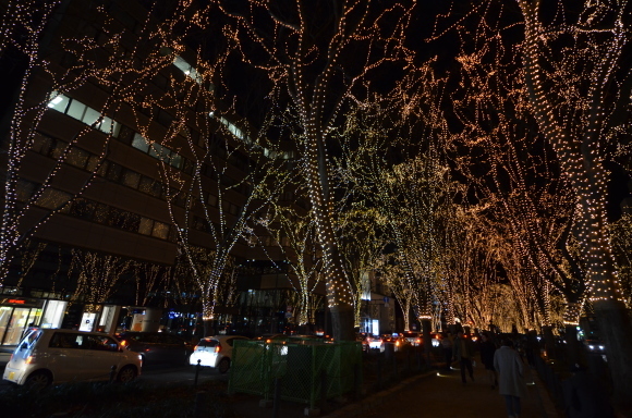 c0336907_21344245.jpg
