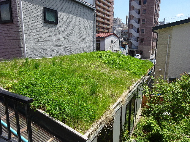 屋上緑化 17年を振り返る 岩井沢工務所の現場日記 屋上緑化 17年を振り返る 岩井沢工務所の現場日記