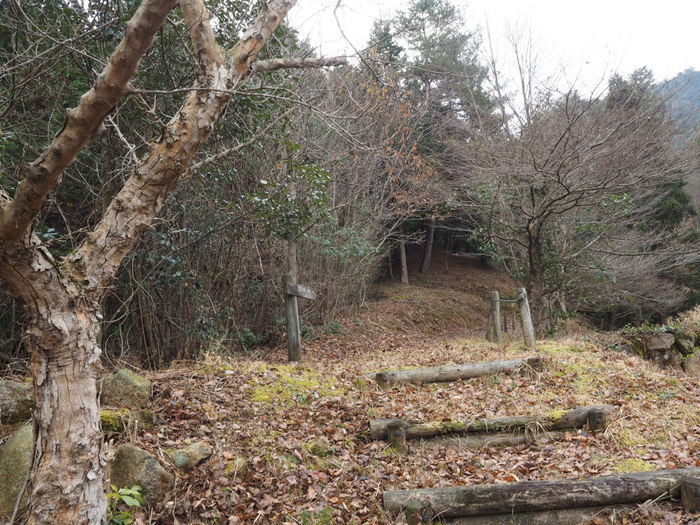 上勝成山・下勝成山登山_c0116915_23221621.jpg