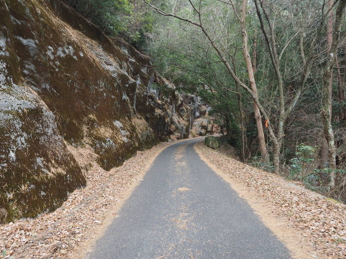 上勝成山・下勝成山登山_c0116915_23244146.jpg