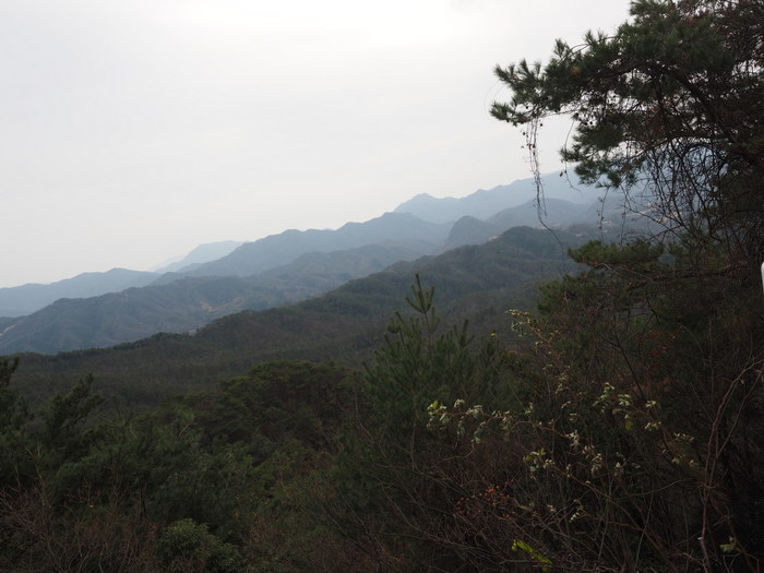 上勝成山・下勝成山登山_c0116915_23261100.jpg
