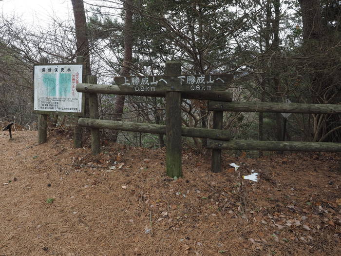 上勝成山・下勝成山登山_c0116915_23302170.jpg